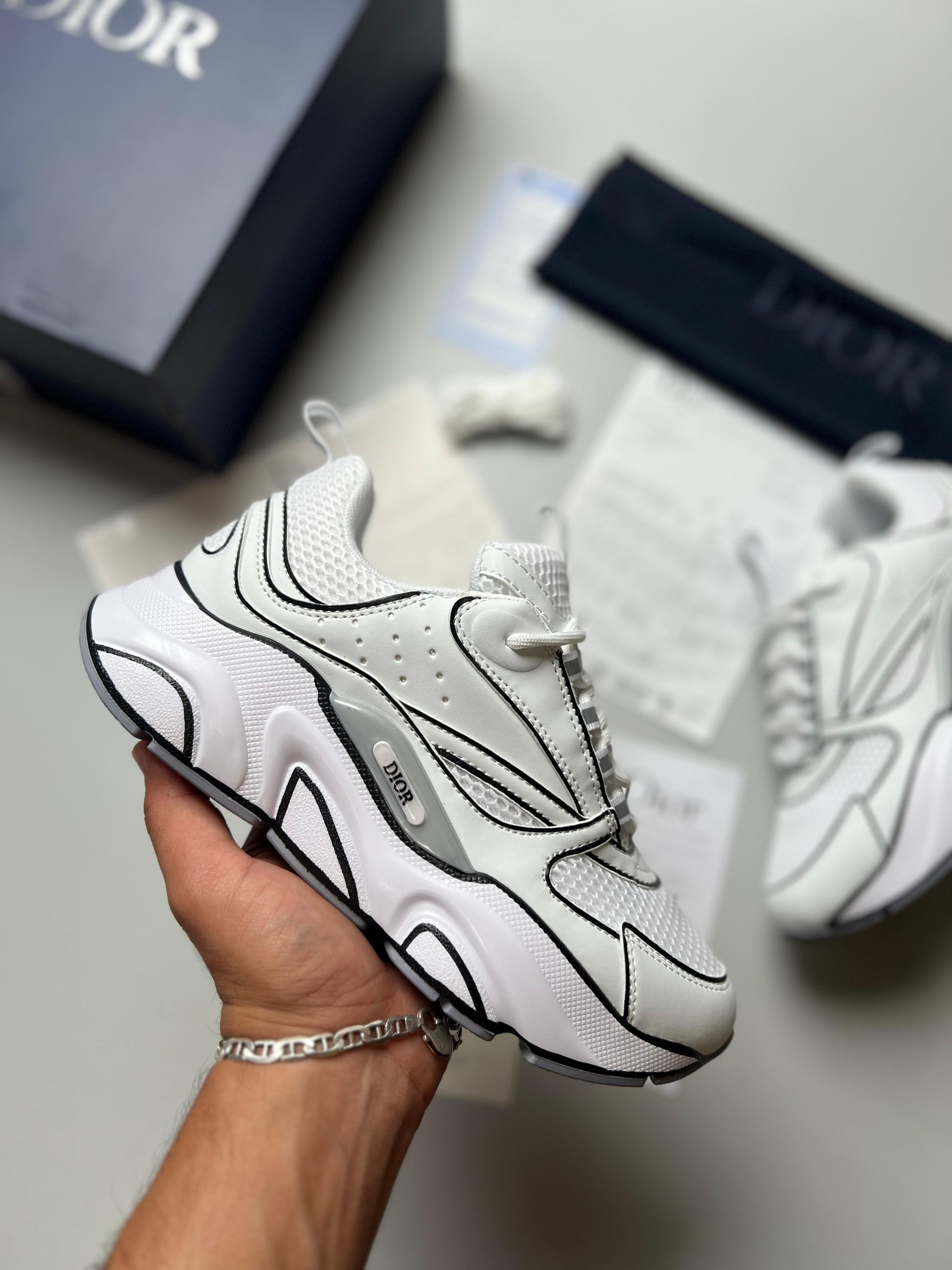 DIOR B22