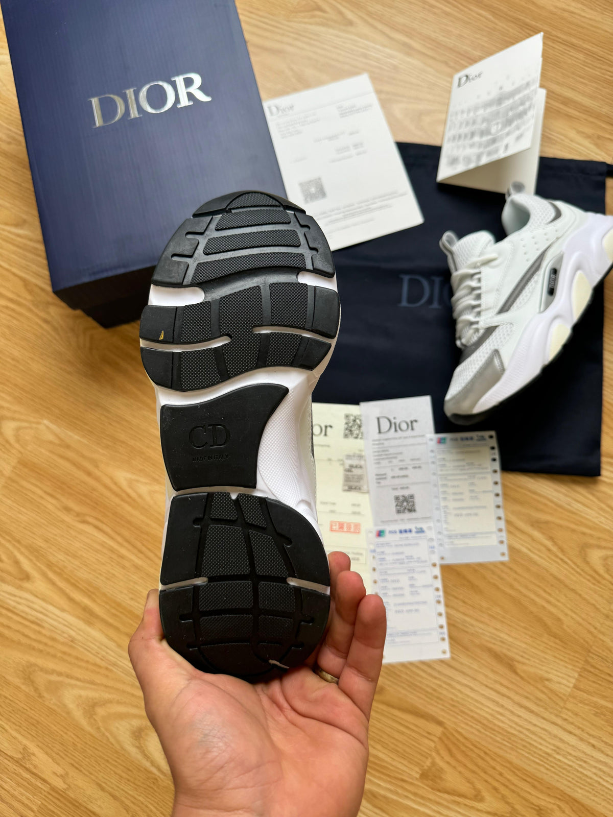 DIOR B22