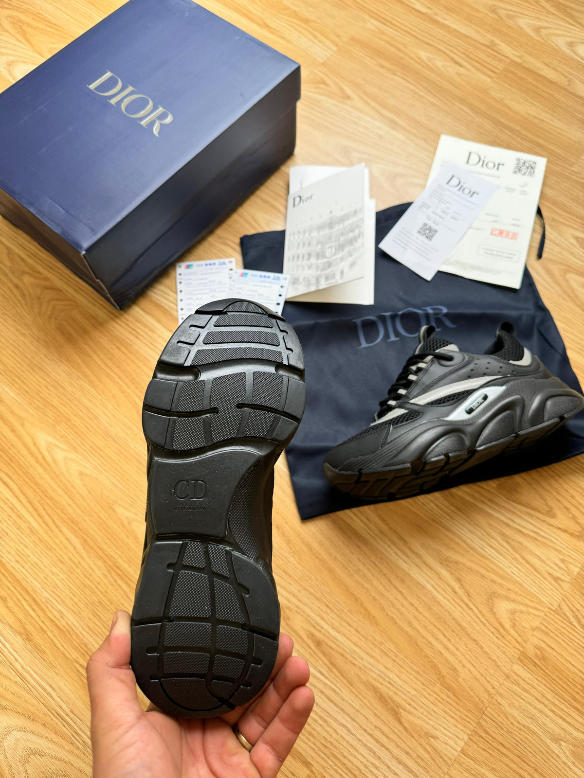DIOR B22
