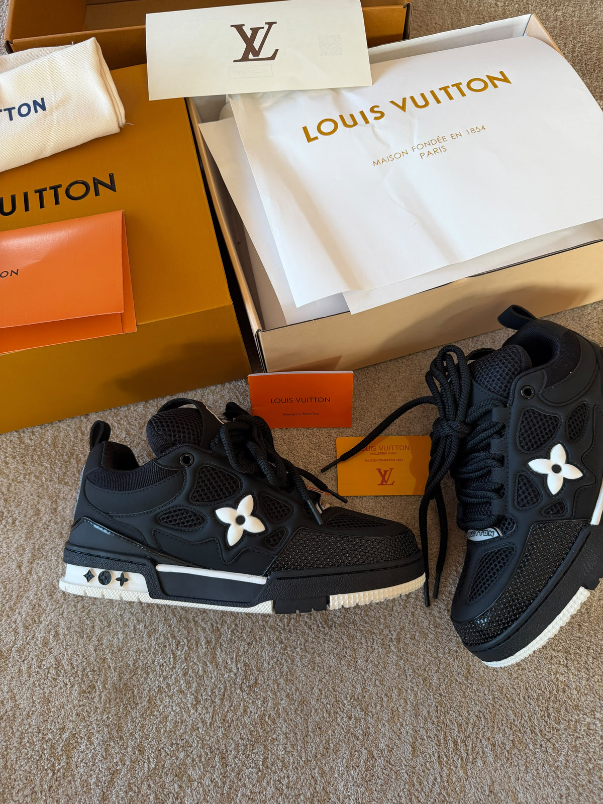 LOUIS VUITTON SKATE