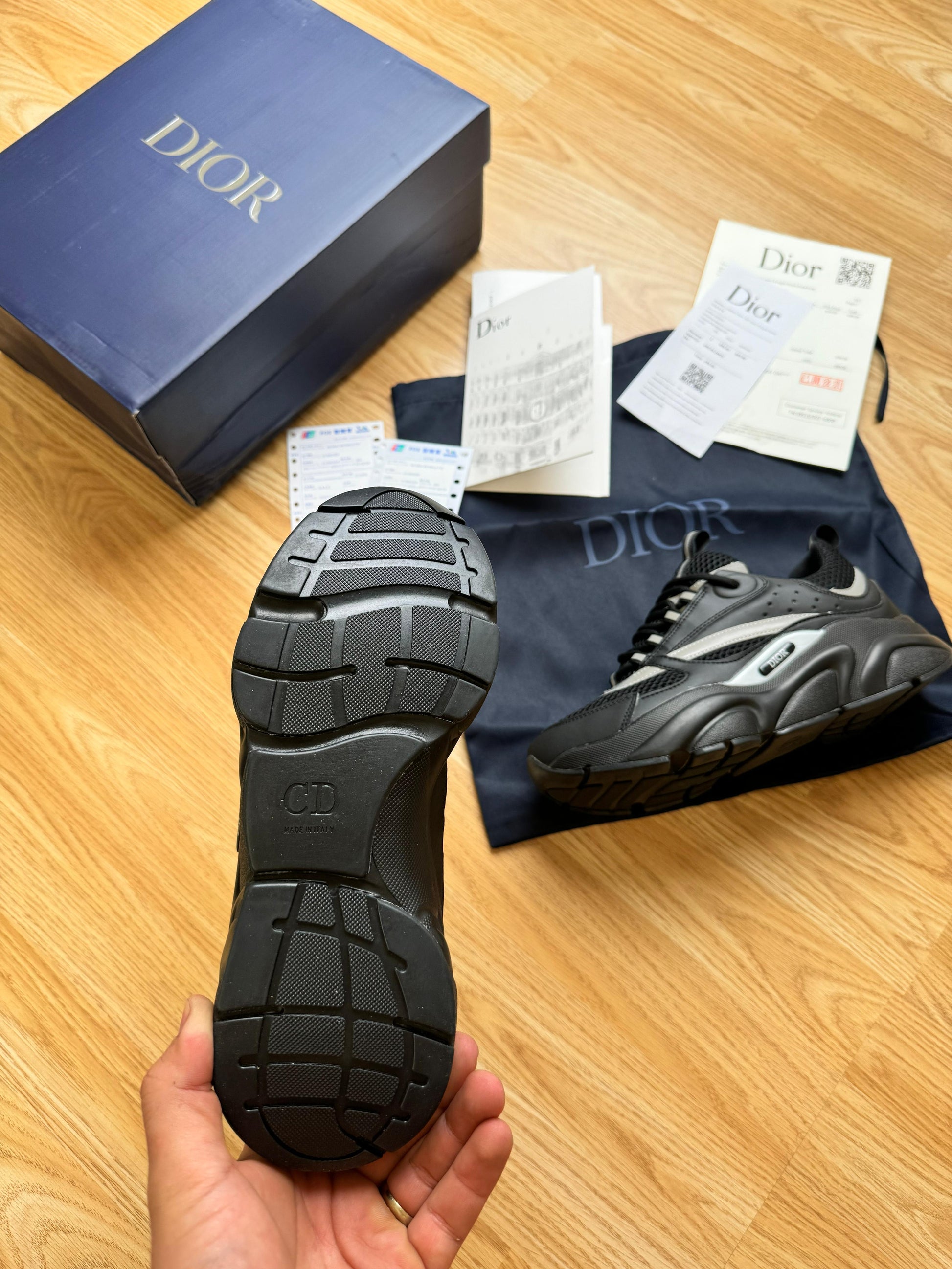 DIOR B22