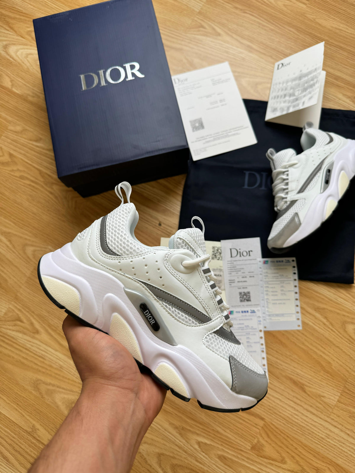 DIOR B22