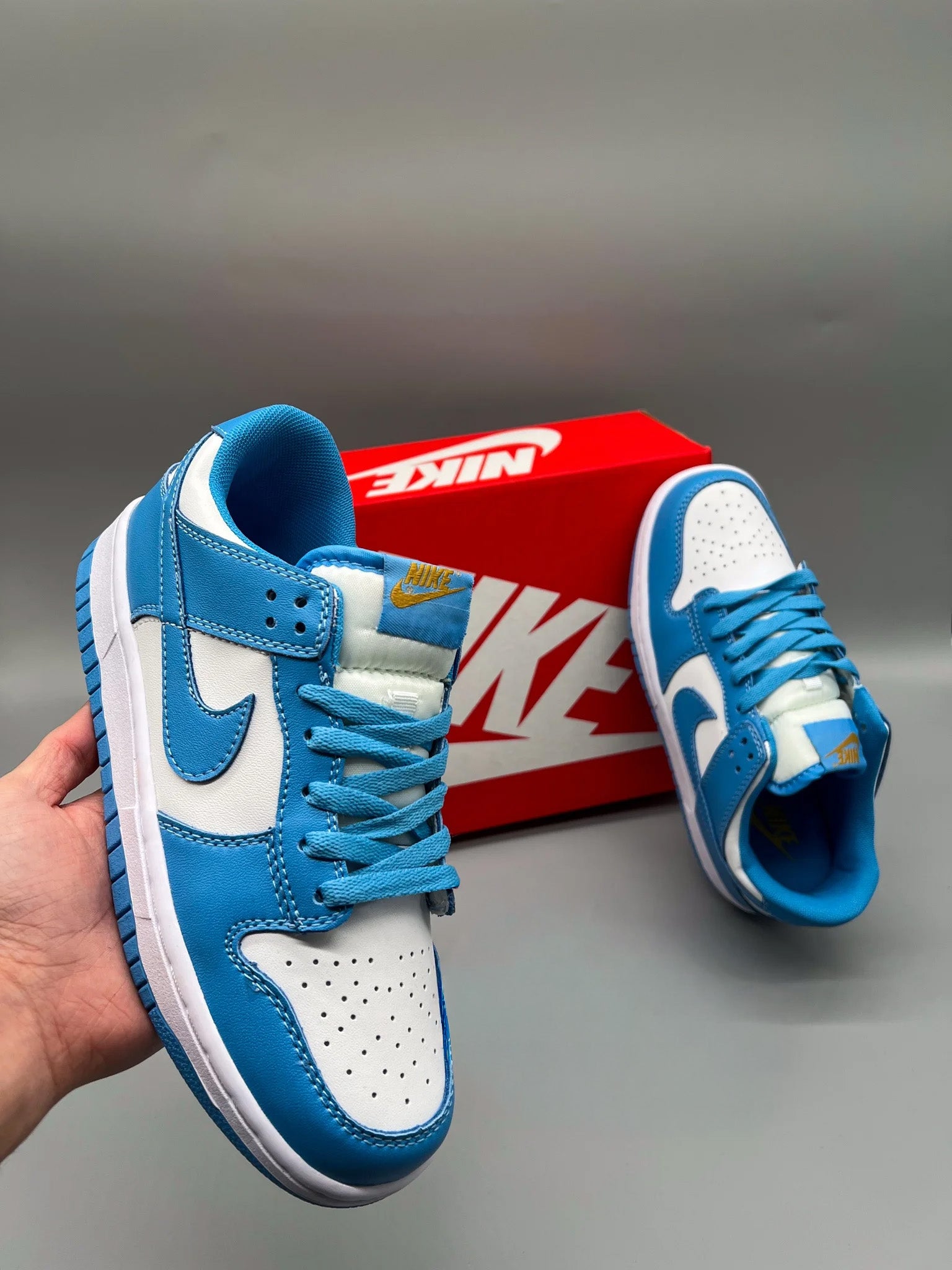 NIKE DUNK