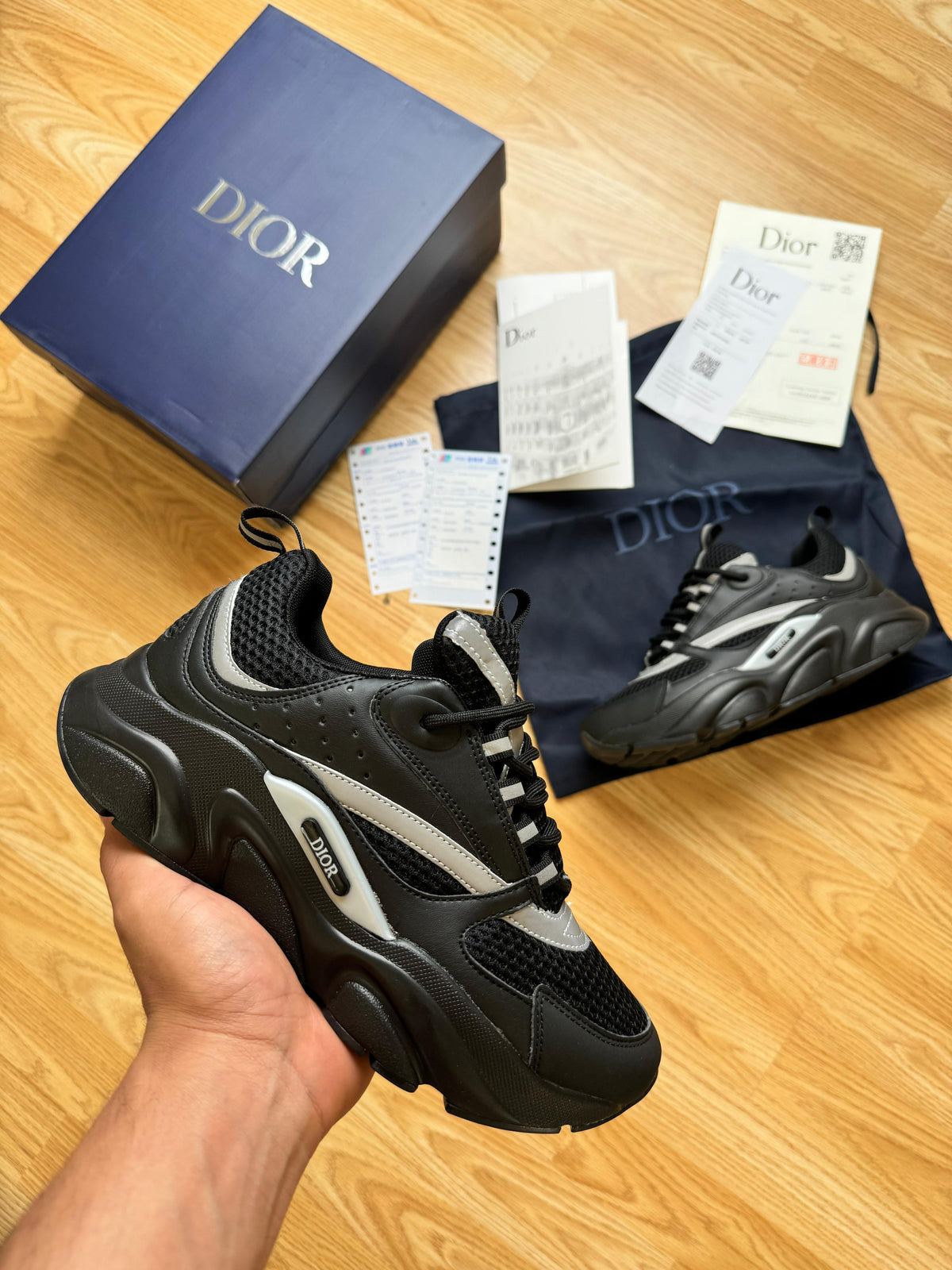DIOR B22