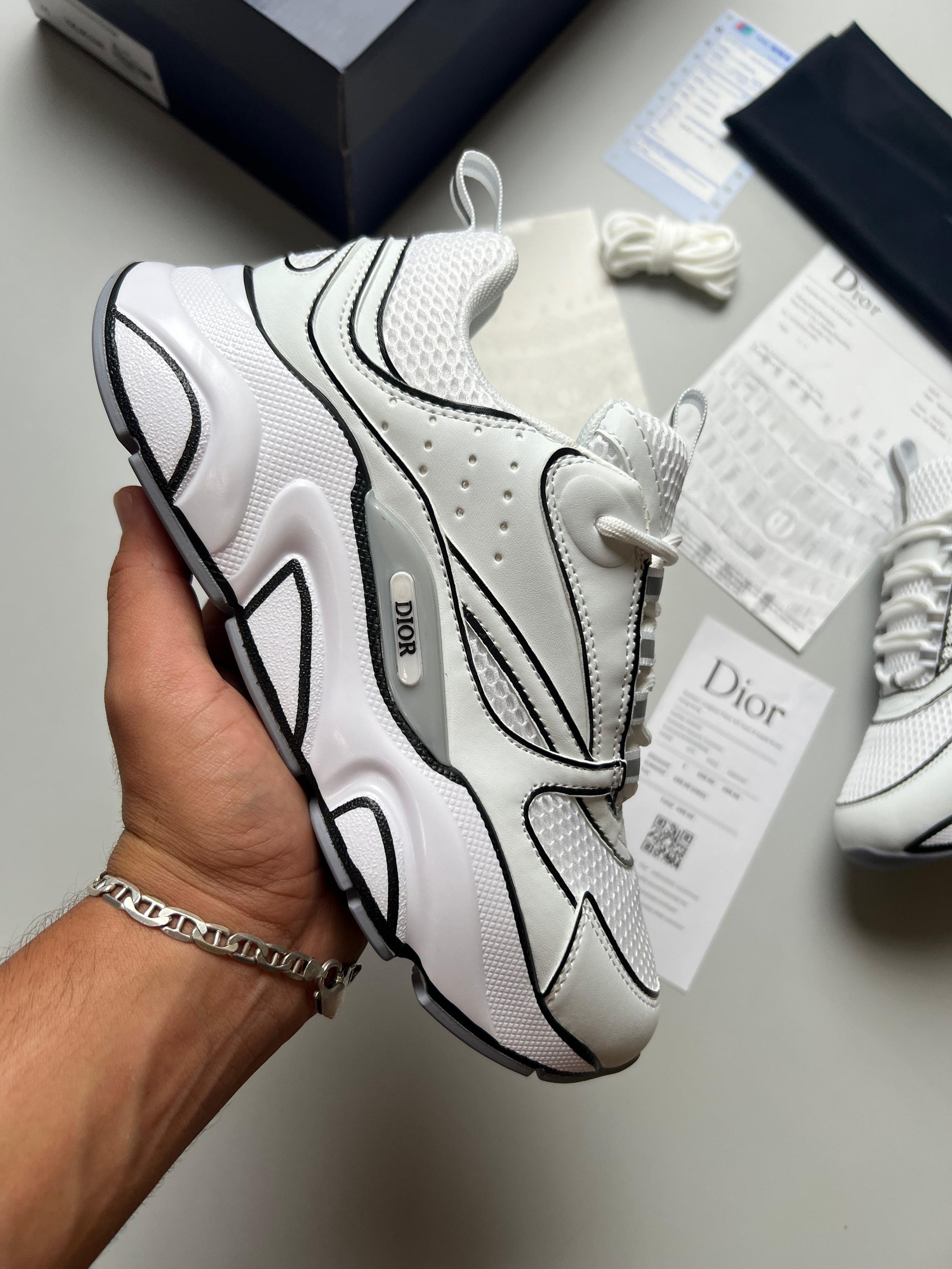 DIOR B22
