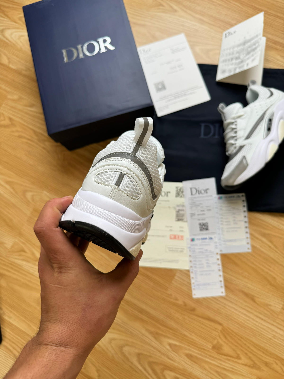 DIOR B22