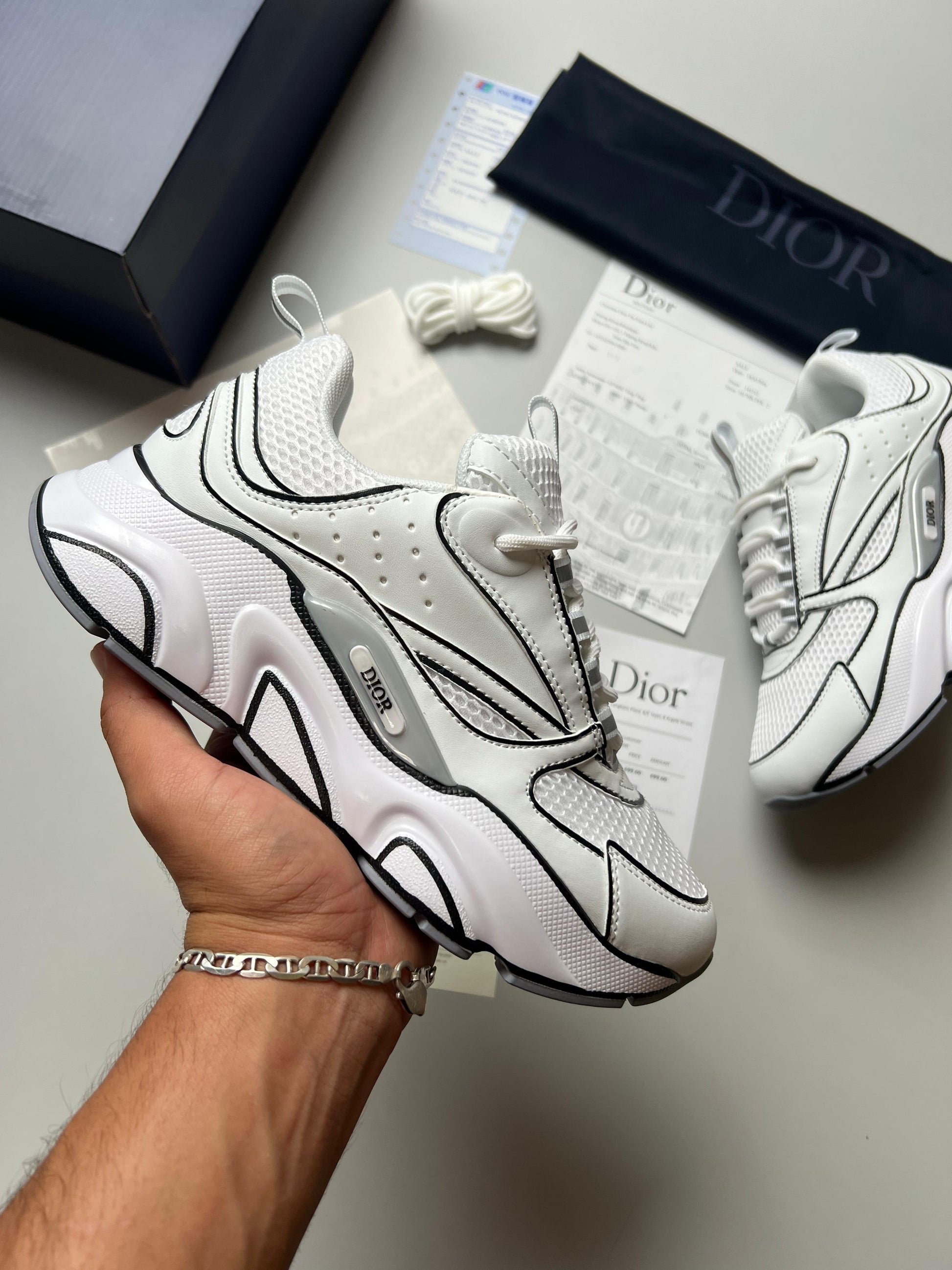 DIOR B22