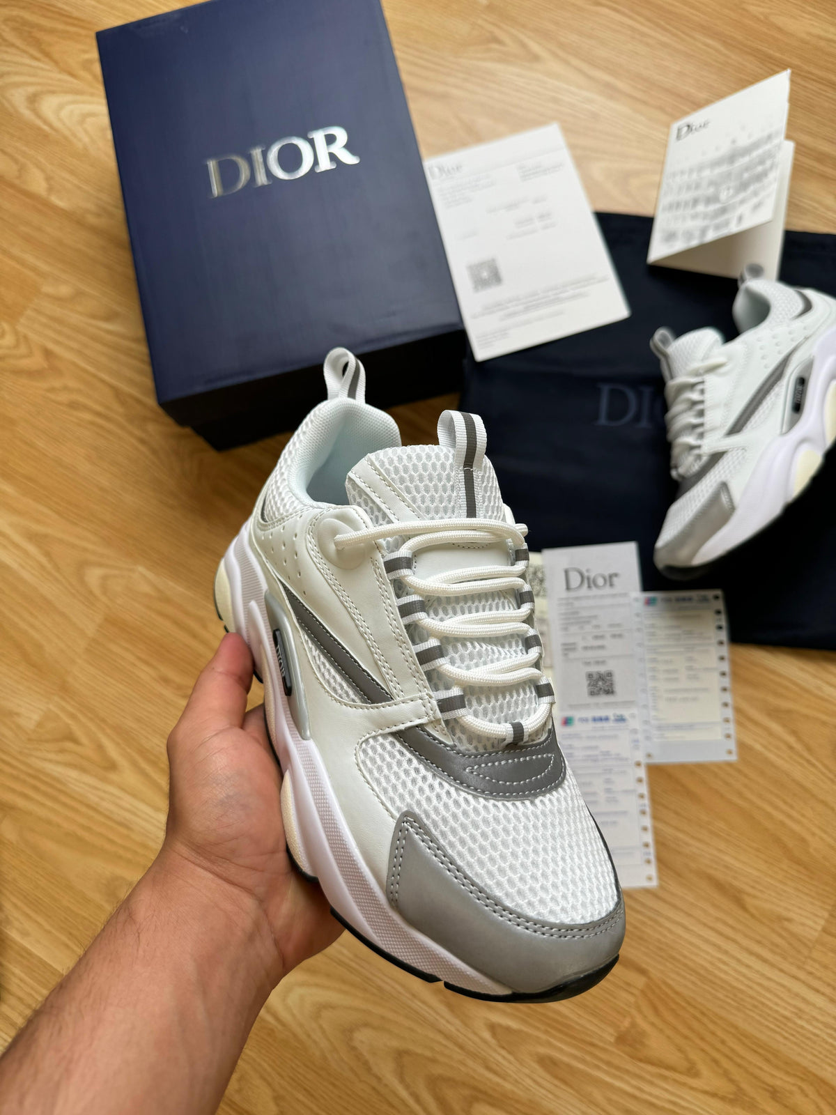 DIOR B22