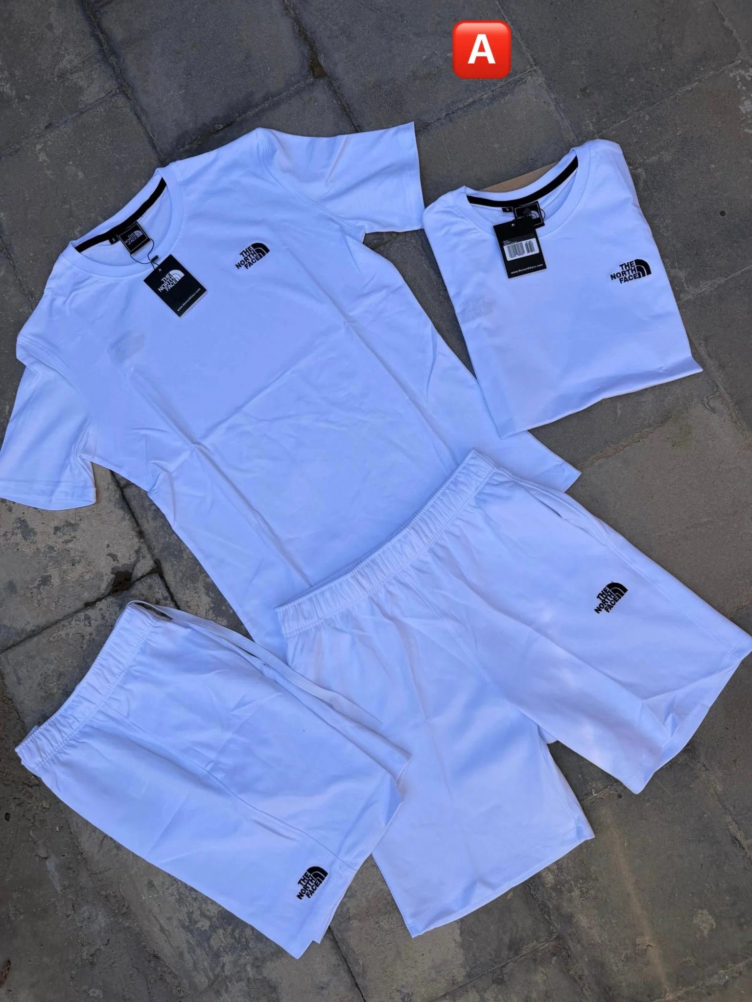 CONJUNTO CORTO THE NORTH FACE